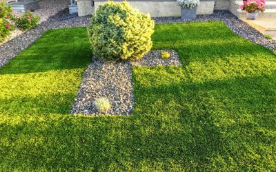 Top Reasons to Choose Artificial Turf: More Than Just a Green Decision